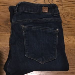 WIT & WISDOM JEANS